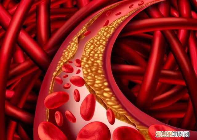 热水泡脚有什么好处有什么坏处 热水泡脚有什么好处和坏处