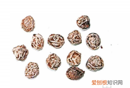 望梅止渴的神奇功效