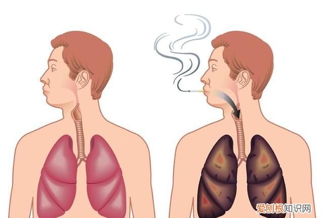 快速而有效的戒烟方法