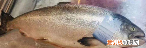 鱼油怎么弄不腥，鱼油腥味怎么去除小妙招