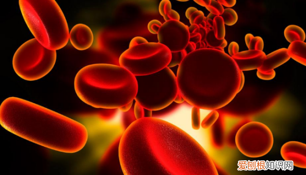 樟脑球对身体有害，樟脑对人有害吗,擦身上会怎么样