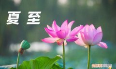 夏至养生饮食六点注意事项,关于夏至节气的养生饮食