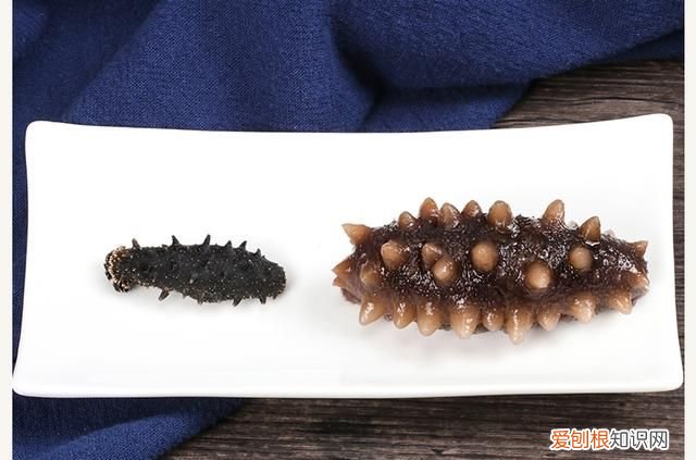 怎么保存干海参最好方法