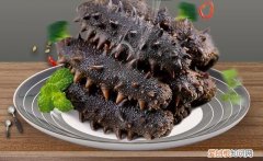 怎么保存干海参最好方法