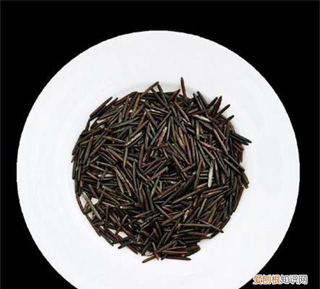 不生茭白是什么原因,菰米和茭白是什么关系