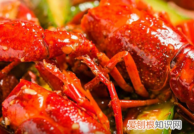 小龙虾吃多了有危害吗,小龙虾吃多了有何害处