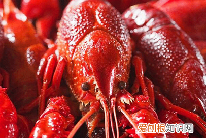 小龙虾吃多了有危害吗,小龙虾吃多了有何害处