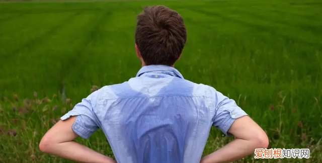 脾虚自汗和肾虚自汗 自汗多汗痰多怎么治疗