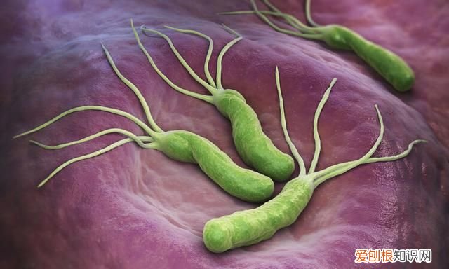 癌症不会传染但是四种癌症要小心,早期癌症为什么不会转移