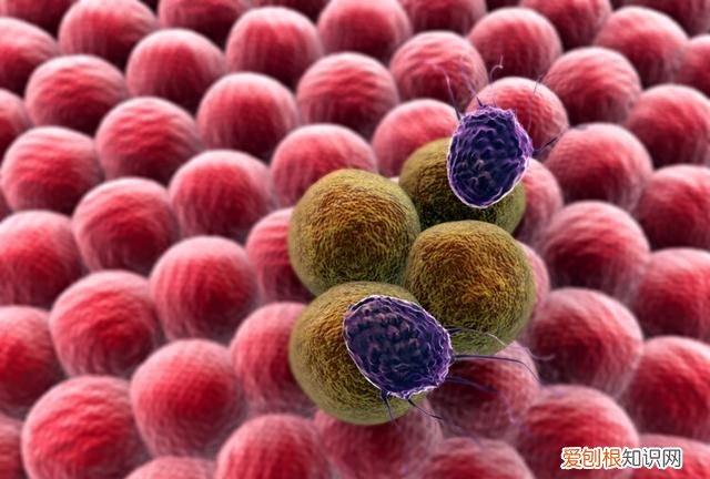 癌症不会传染但是四种癌症要小心,早期癌症为什么不会转移