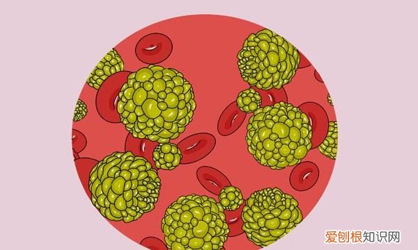 经常喝酸奶对人体有什么好处,每天一直喝酸奶有什么坏处呢