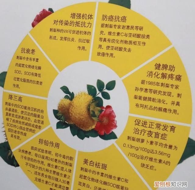 七星关特有水果,明月山特色水果