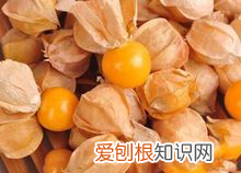 灯笼果能吃吗 灯笼果的特点