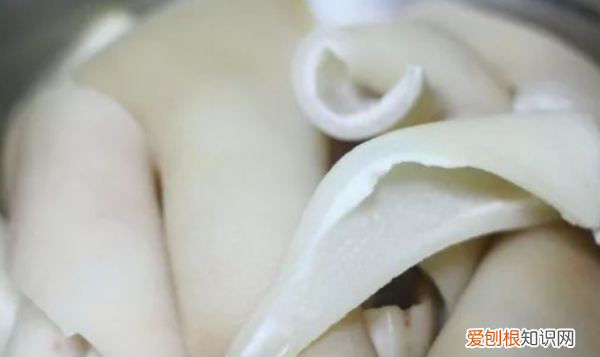 猪皮衣服怎么清洗和保养，猪皮翻毛皮衣怎么清洗保养