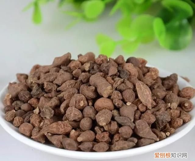 蕨麻怎么做好吃 蕨麻的做法大全家常