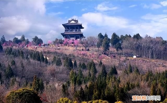 安徽淮南有什么特色美食，安徽淮南特色美食