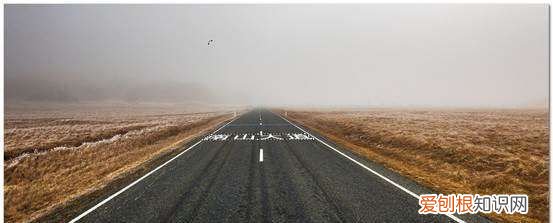 ps如何使用消失点，PS中的消失点工具应该怎么用