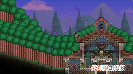 泰拉瑞亚闪耀根怎么种,泰拉瑞亚种植盆怎么用