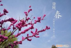 春天的由来，春天教案中班主题由来怎么写