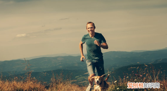 慢跑800米消耗多少卡路里，跑八百米可以消耗多少卡路里热量