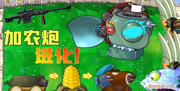 玉米加农炮可以种在水上吗，植物大战僵尸在荷叶上可以种玉米炮