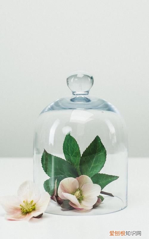 易歪歪是干嘛的