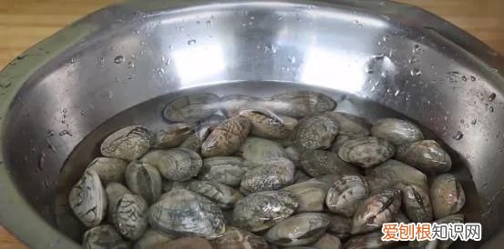 用盐水洗花甲的正确方法 盐水洗花甲的正确方法