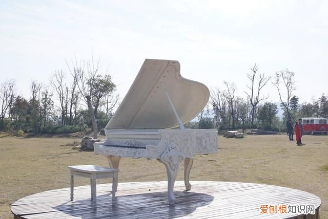 海南柚子和福建柚子哪个好吃,台州玉环文旦柚子