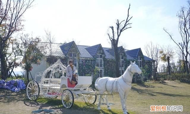 海南柚子和福建柚子哪个好吃,台州玉环文旦柚子