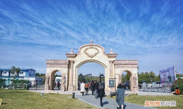 海南柚子和福建柚子哪个好吃,台州玉环文旦柚子