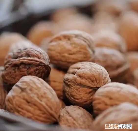 巴旦木坚果和杏仁有什么区别,巴旦木和杏仁有何区别