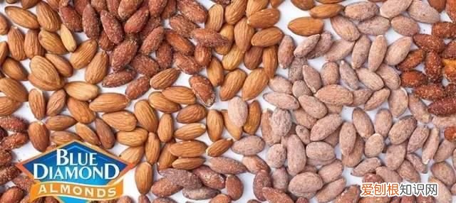 巴旦木坚果和杏仁有什么区别,巴旦木和杏仁有何区别