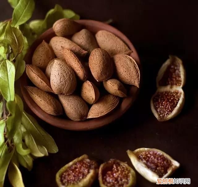 巴旦木坚果和杏仁有什么区别,巴旦木和杏仁有何区别