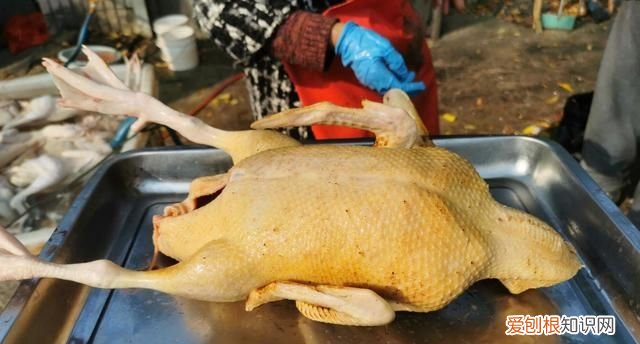 冬天,遇到鸭肉别手软,比猪肉便宜,比牛肉营养,常吃增加抵抗力