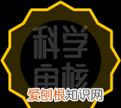 榴莲核的10种吃法