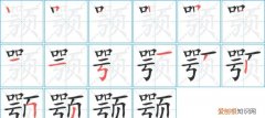 颌怎么读，秀颌龙第二个字怎么读？