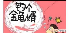 无端嫁得金龟婿下一句，无端嫁得金龟婿一共多少集？
