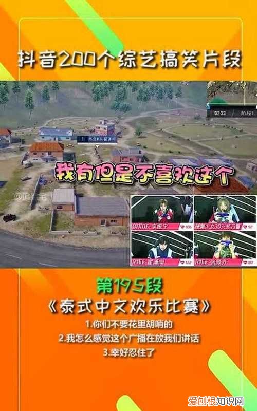 太ne了是什么意思，东北ne是什么意思