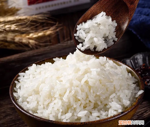 怎么挑选购买优质大米