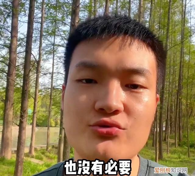 乐高,机器人,编程之间的区别是什么