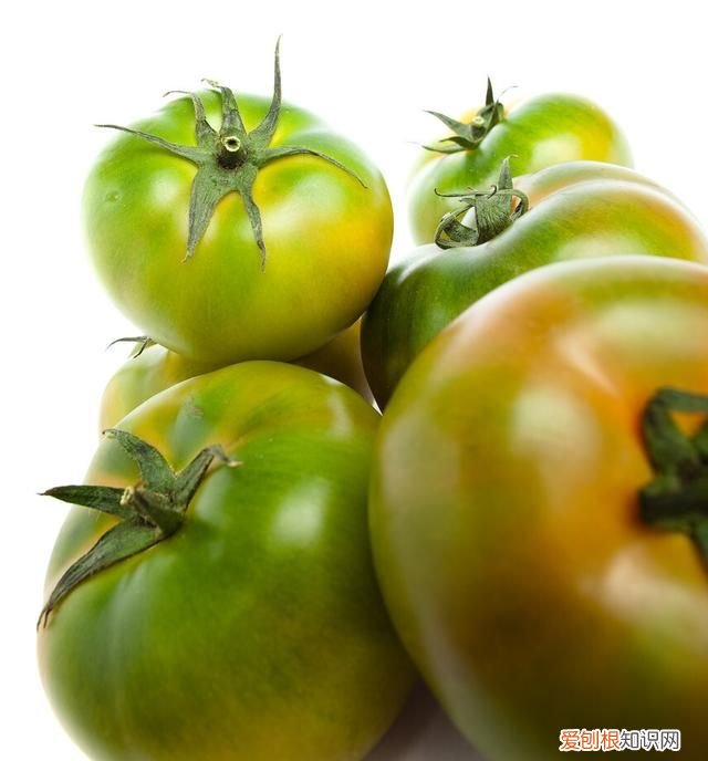 未成熟的绿色西红柿能吃吗?,绿色的西红柿为什么不能吃