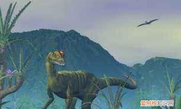 恐龙的一支说明了什么，四年级上册第二课的第四自然段