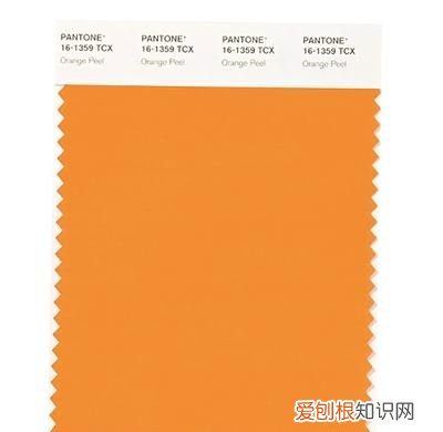 初秋流行色明媚且温暖