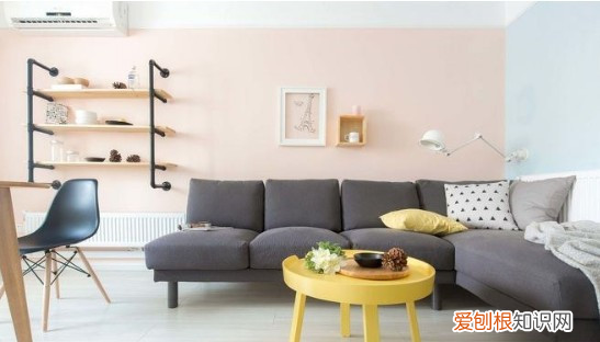 茶几上摆放什么东西好，在客厅的茶几上养花好不好呀