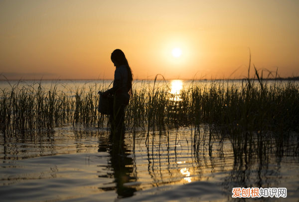 陷入沼泽中怎么办，陷入沼泽如何自救或救援