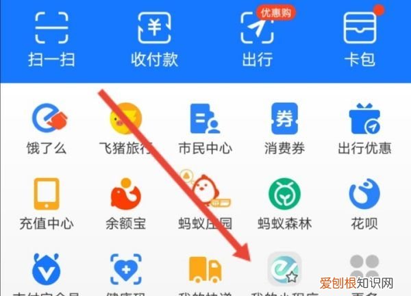 支付宝首页怎么添加应用,支付宝如何添加授权应用