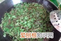 马齿苋包子的做法,马齿苋又称长寿菜包子怎么做才好吃