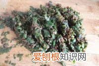 马齿苋包子的做法,马齿苋又称长寿菜包子怎么做才好吃