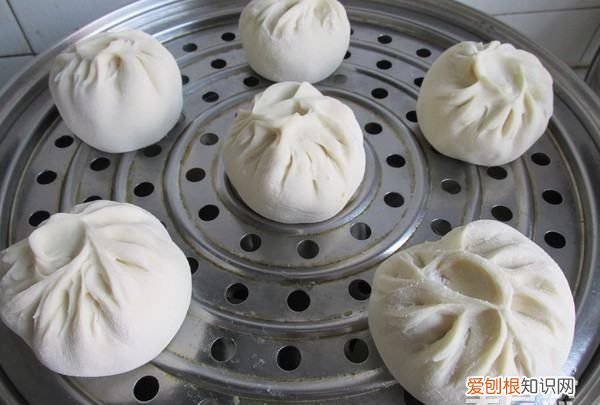 马齿苋包子的做法,马齿苋又称长寿菜包子怎么做才好吃