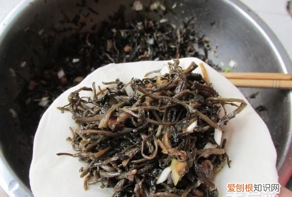 马齿苋包子的做法，马齿苋又称长寿菜包子怎么做才好吃